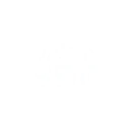 Dawn360 logo